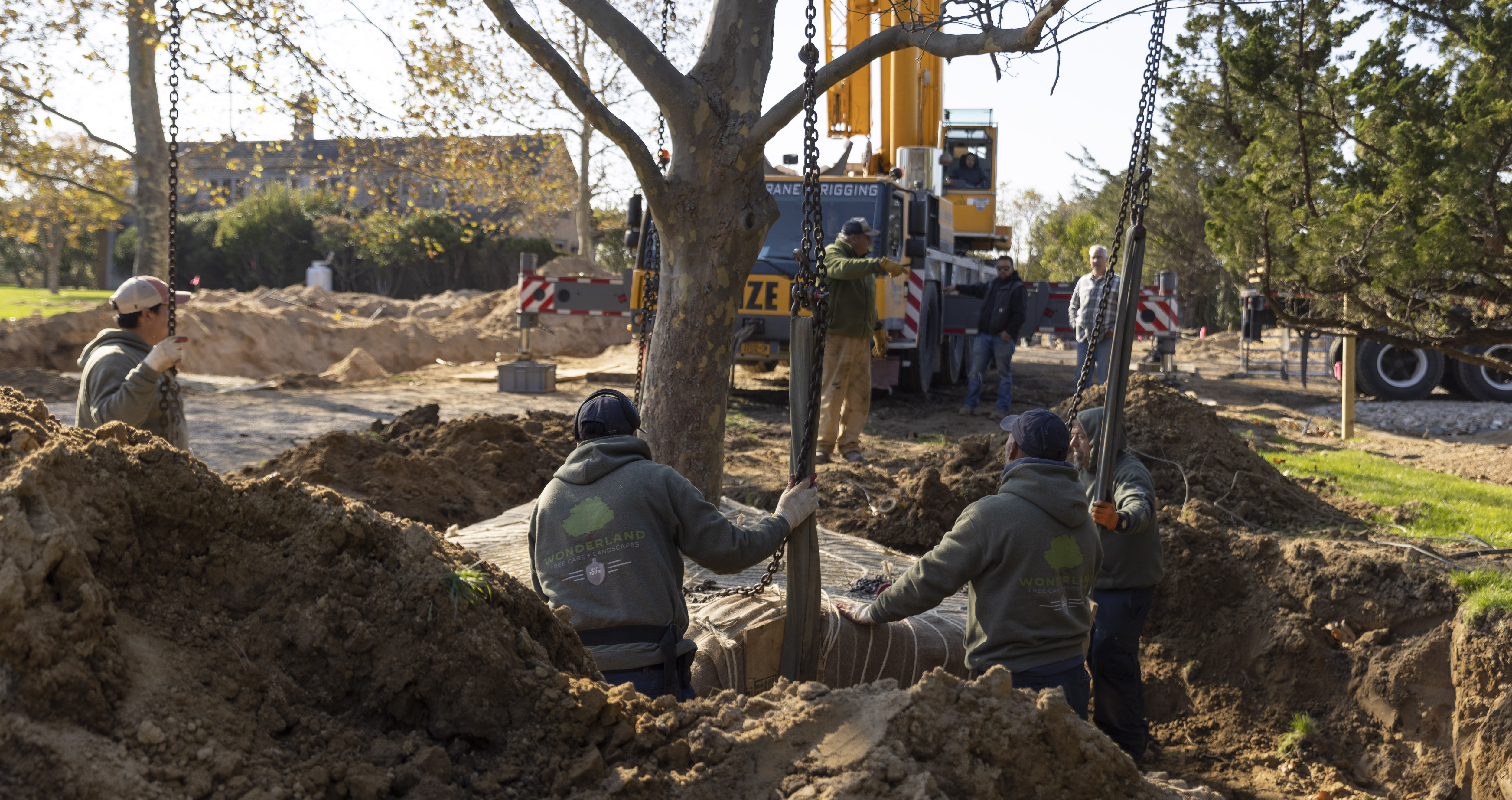 landscaping by Wonderland Tree Care